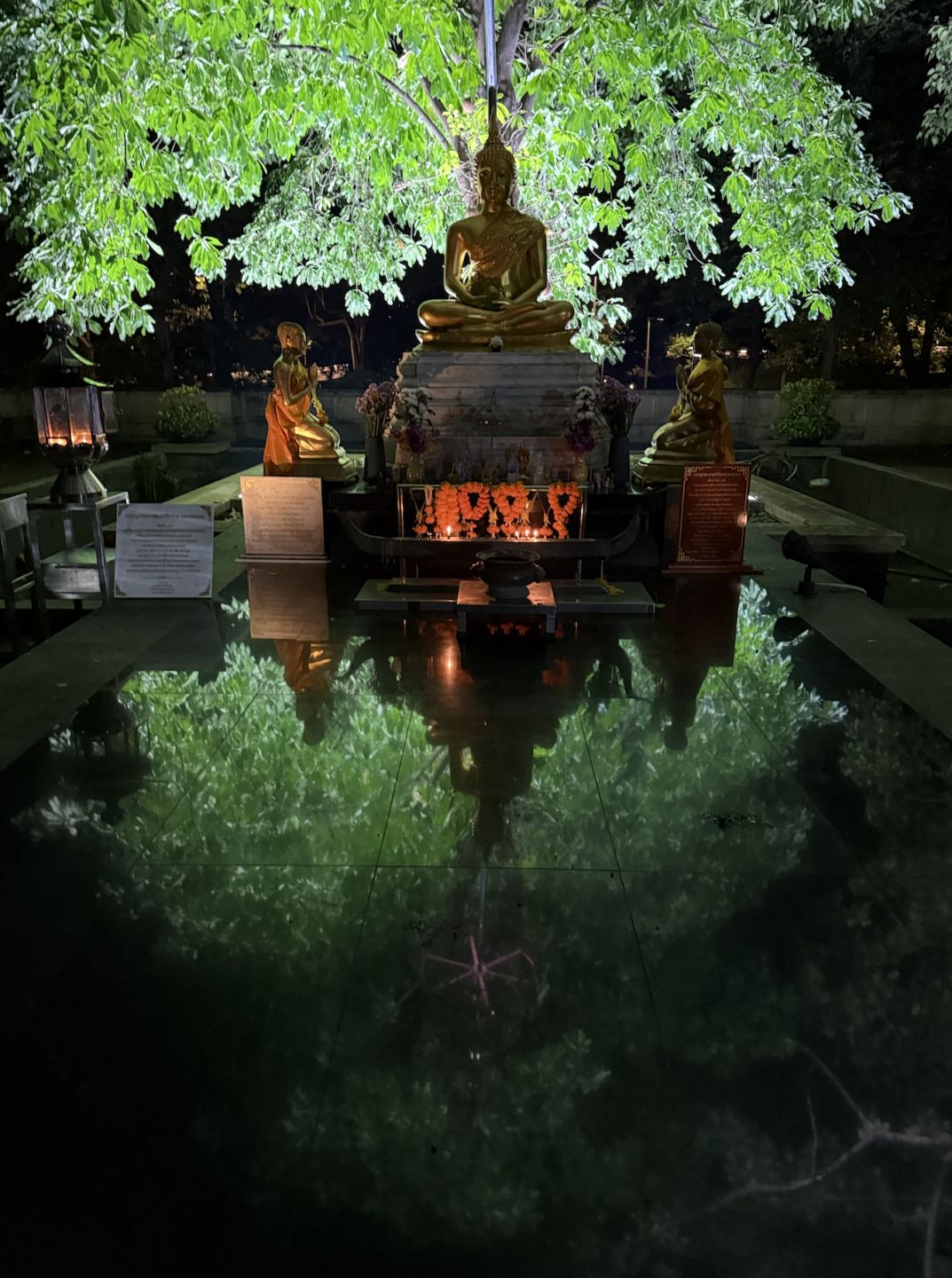 A golden Buddha beneath a lit tree at night, candles reflected in still water