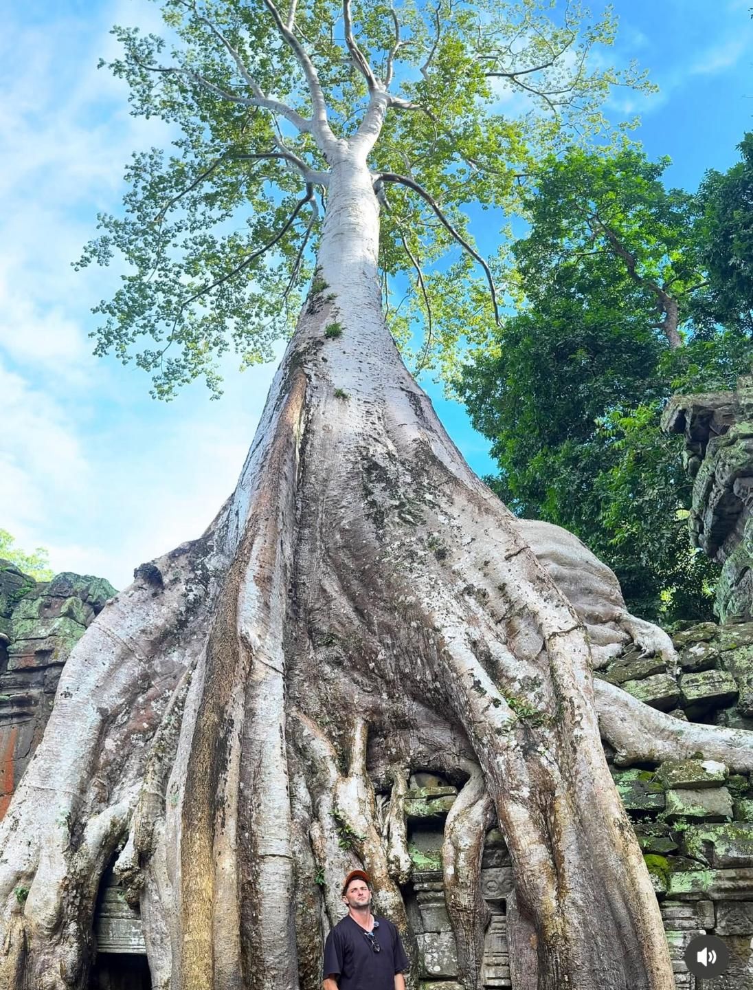 Cameron at the base of the giant at Ta Prohm, Cambodia — the one that holds the temple