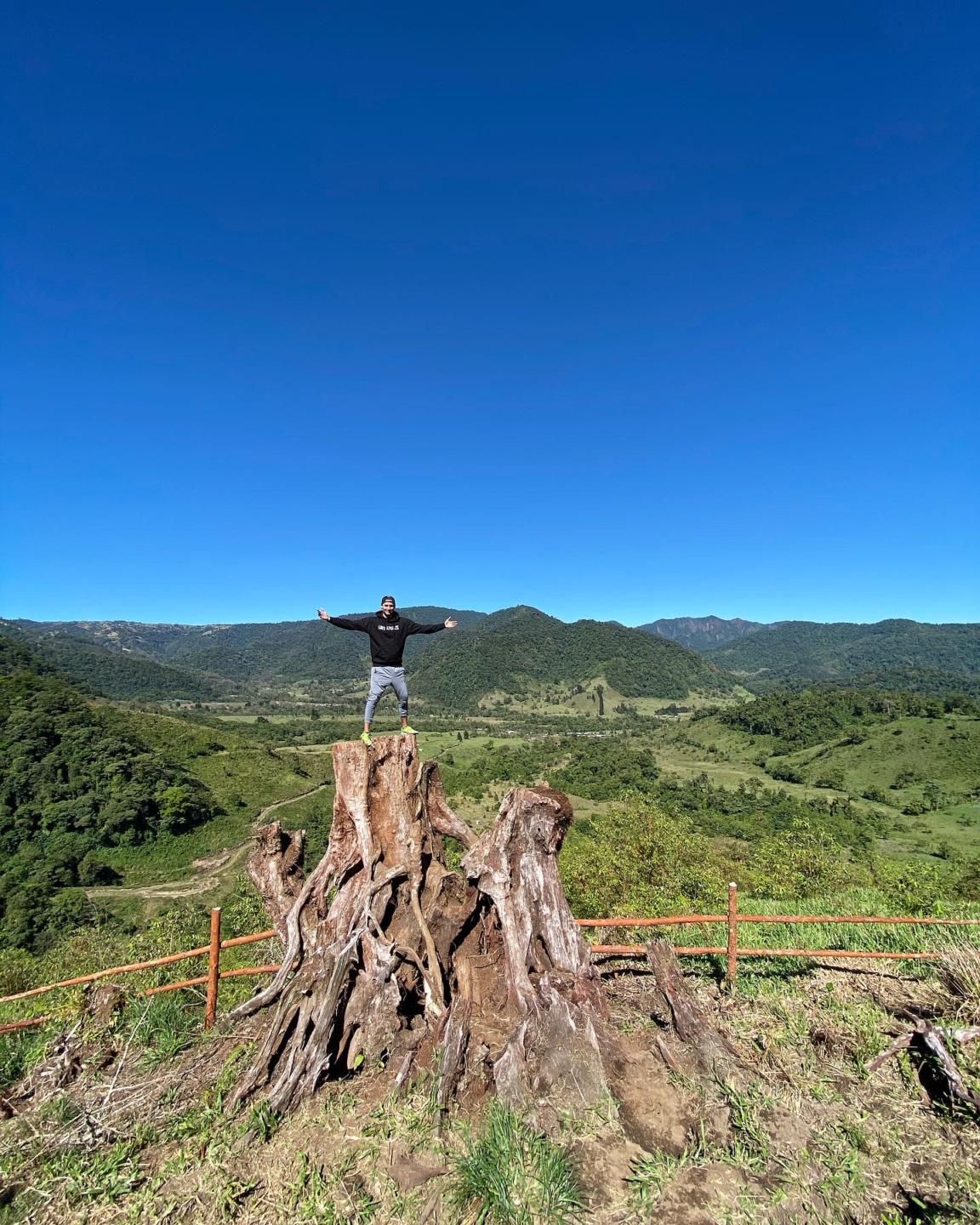 Cameron standing on the fallen giant in Costa Rica — down, roots and all