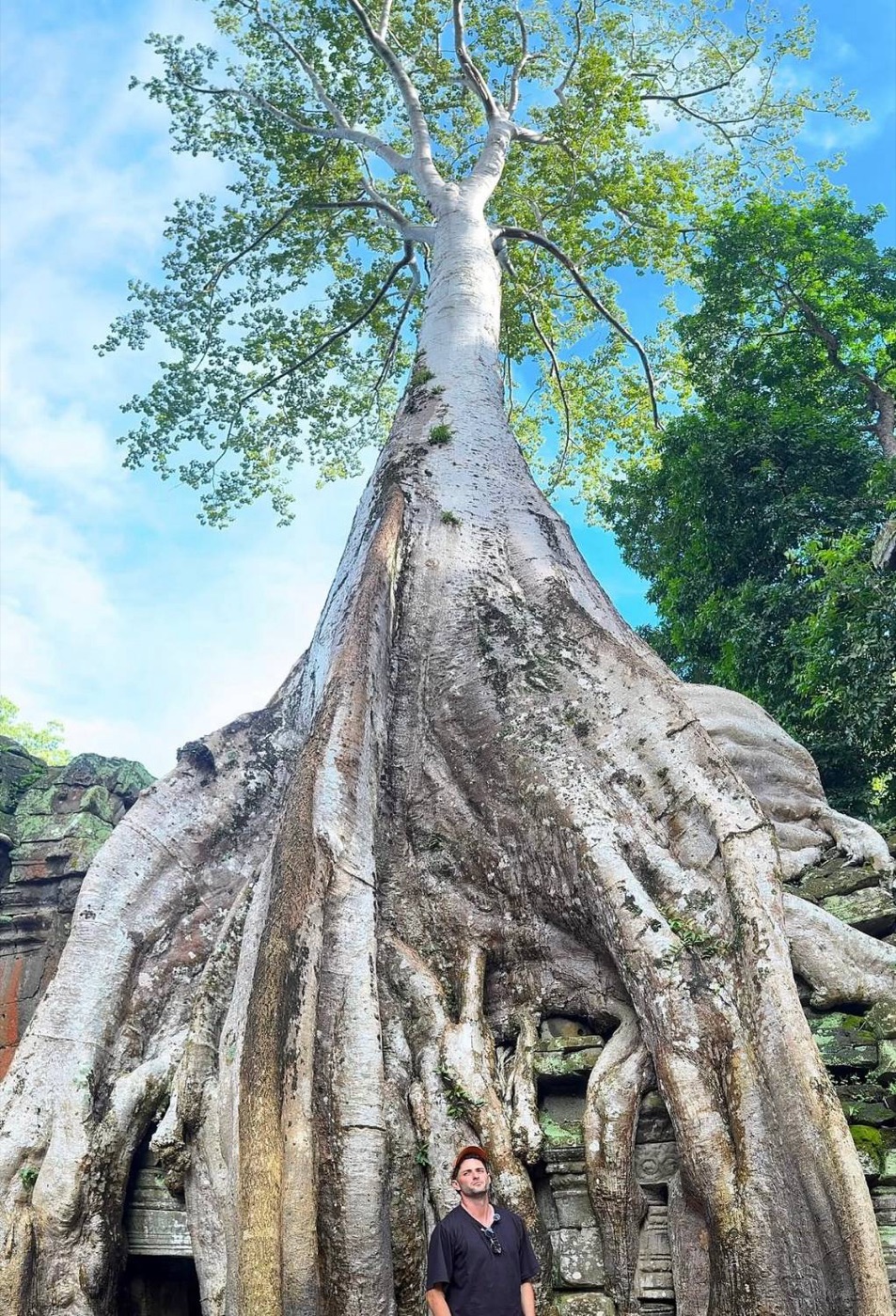 Cameron Tennant standing beneath a giant tree whose roots swallow an ancient temple at Ta Prohm, Cambodia