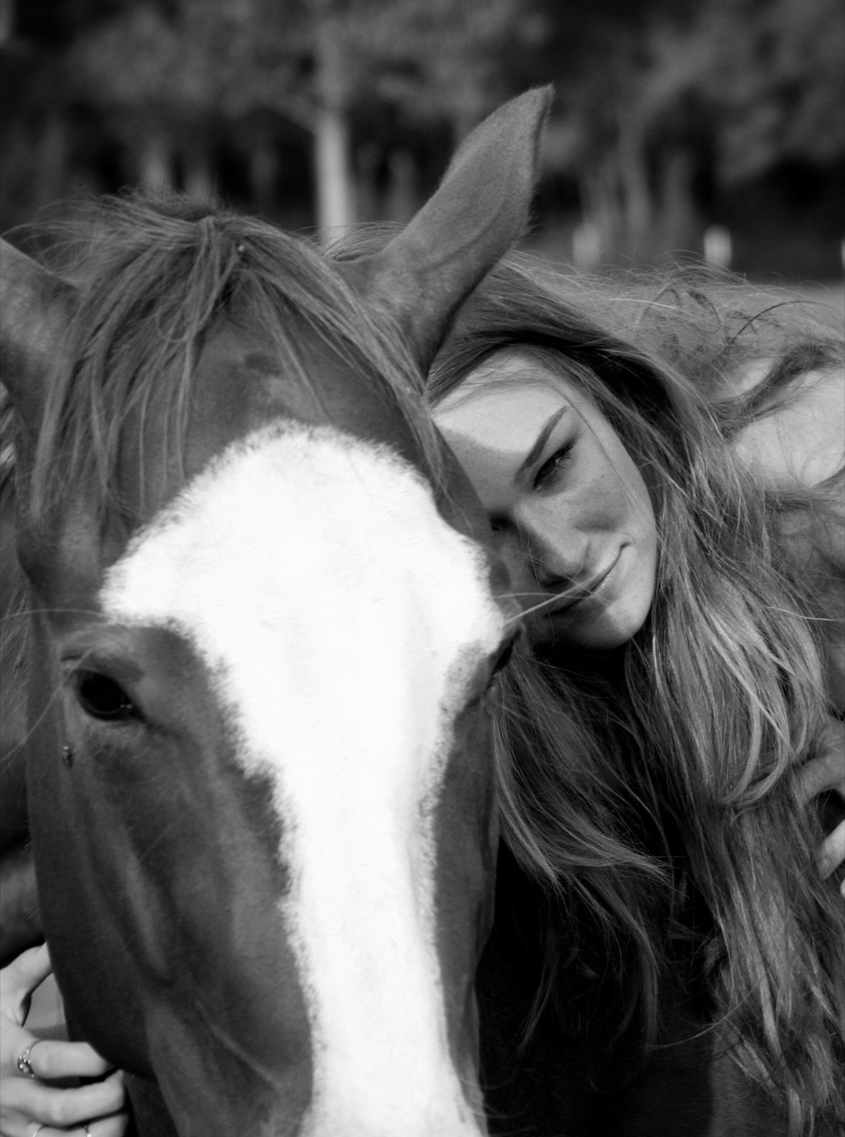 Madeline Taylor Reams resting her head against a horse — the deep love for animals that first led her to veterinary school