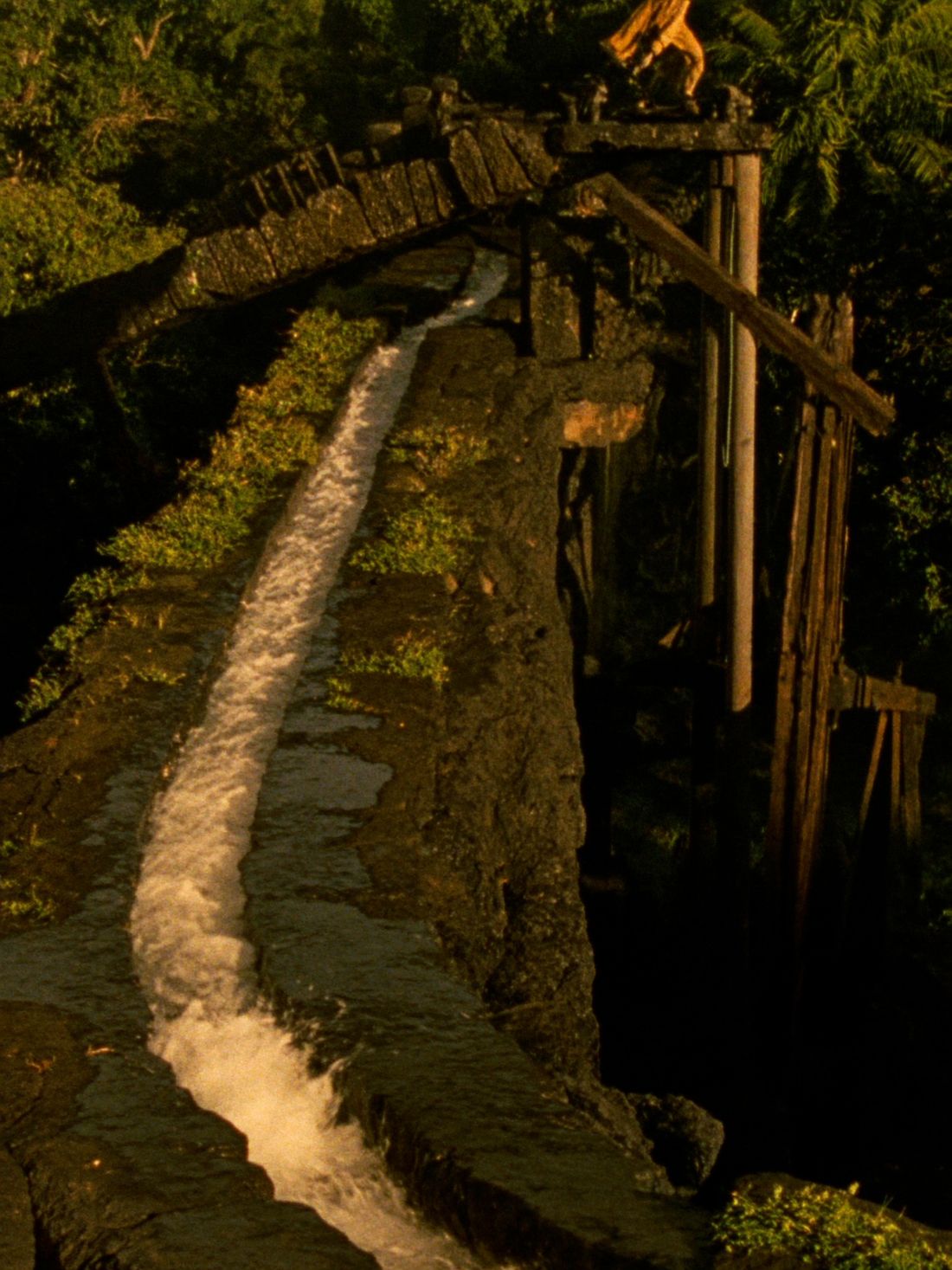 An ancient stone channel still carrying water through the temple grounds