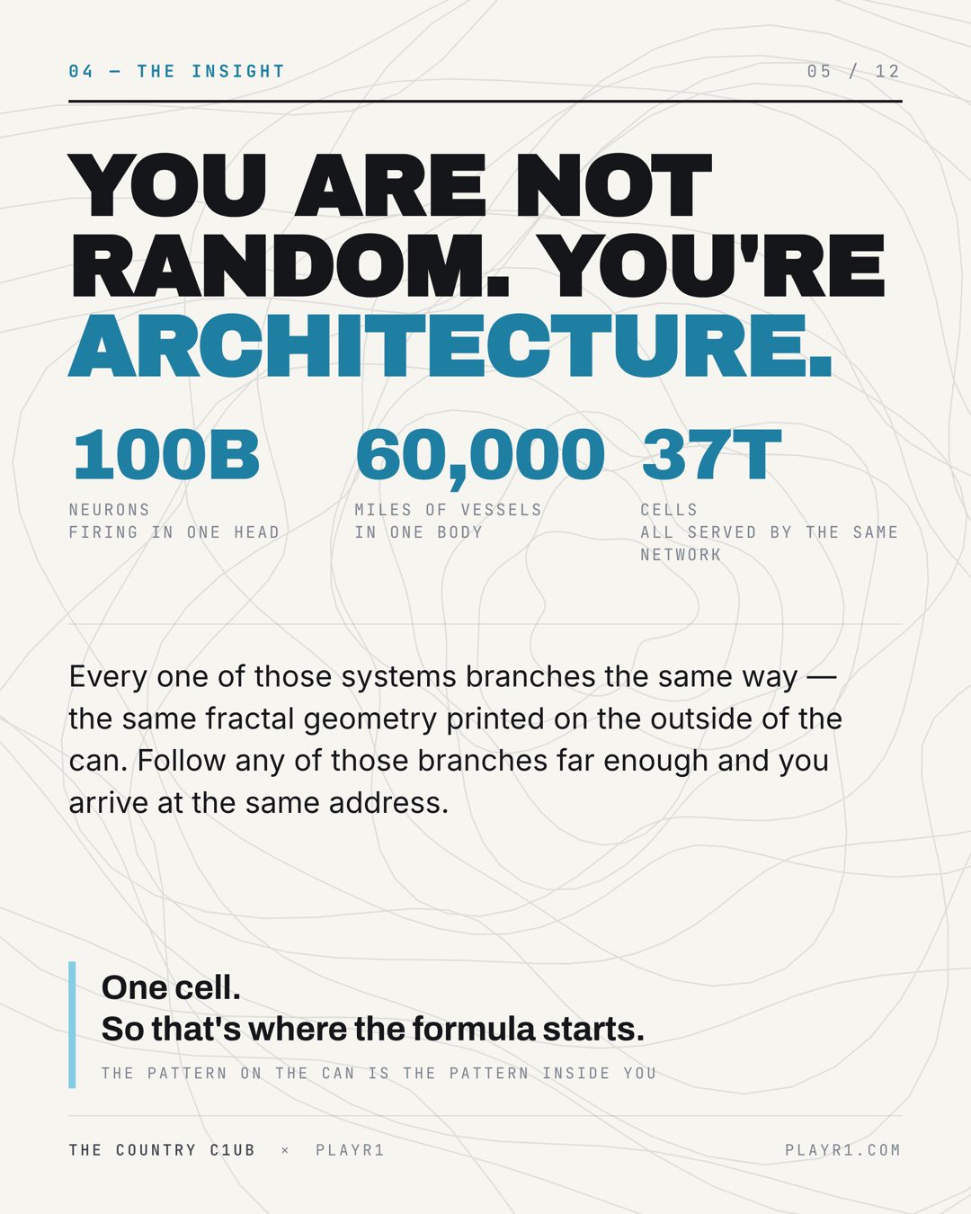 Slide 5 — you are not random, you are architecture