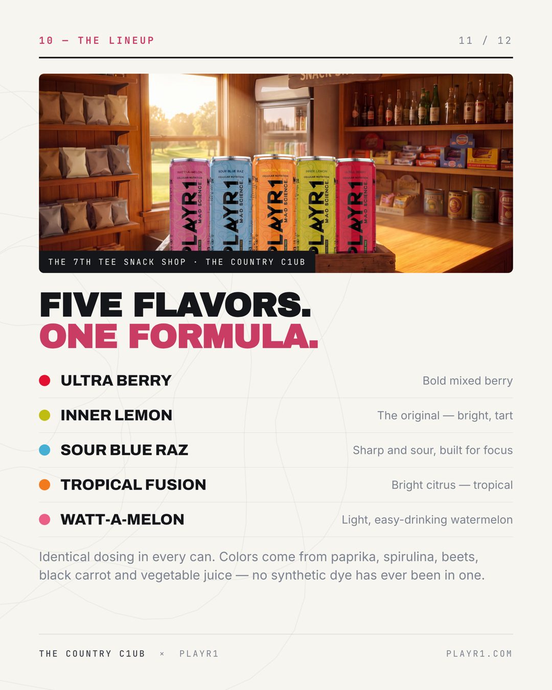 Slide 11 — the lineup: five flavours